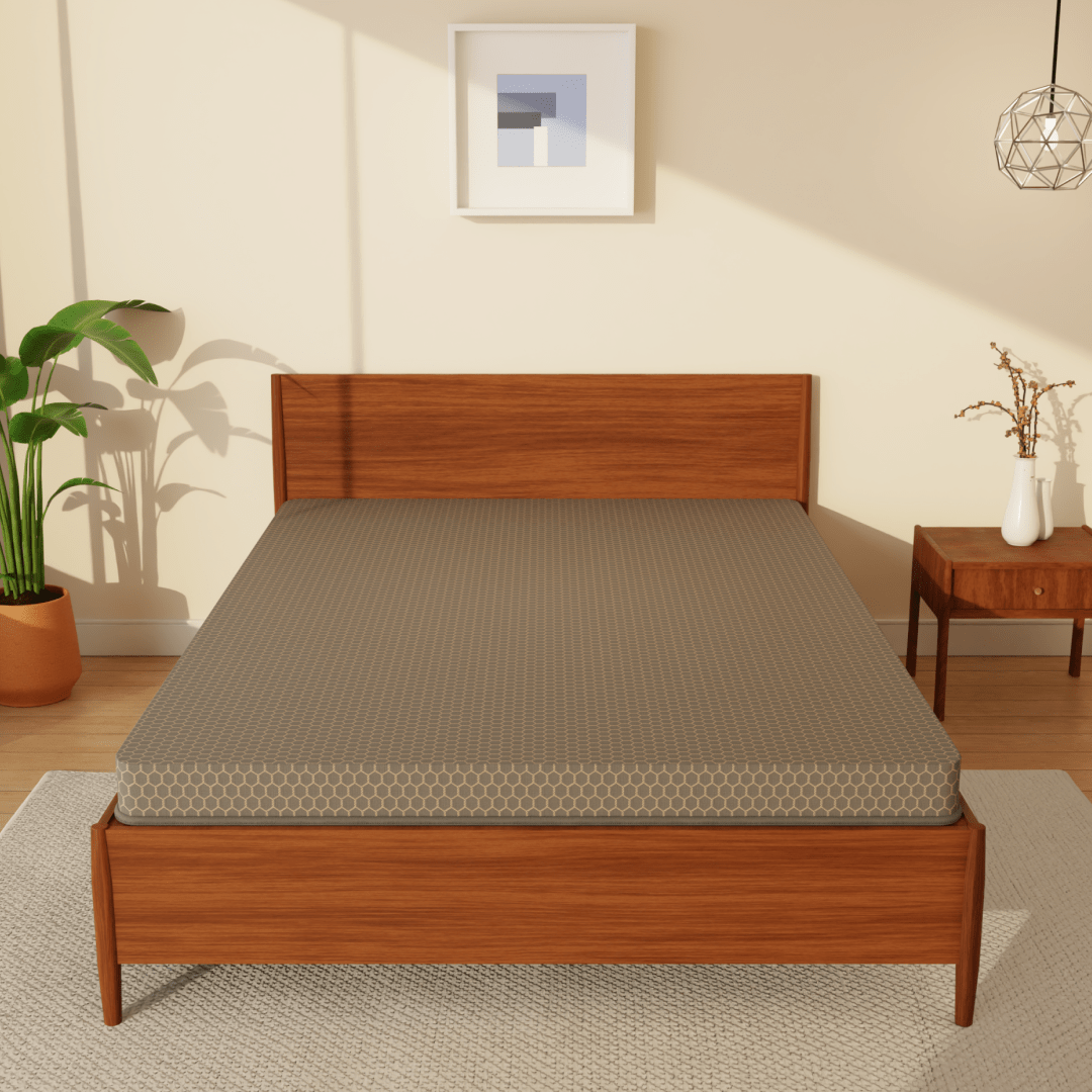 Buy SleepyHug Ortho SpineX Plus | Foam Mattress | Beige The New AirCell Series