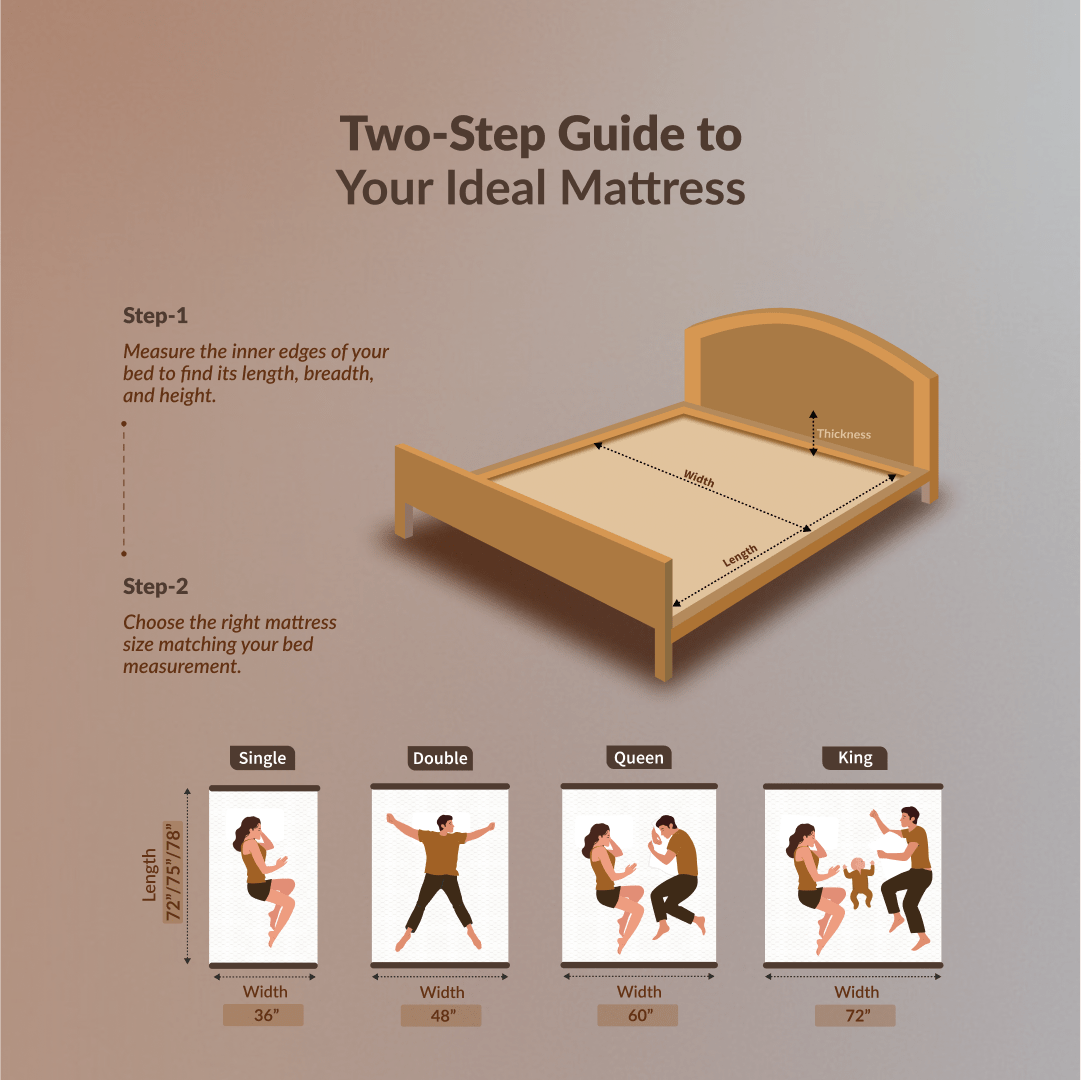 Buy SleepyHug AirCell Ortho Dual Comfort Plus | Orthopedic Mattress | Brown The New AirCell Series