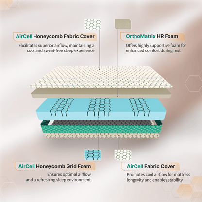 Buy SleepyHug Dual Ortho The New AirCell Series