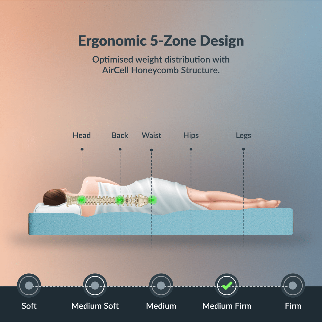 Buy SleepyHug Ortho SpineX Plus The New AirCell Series