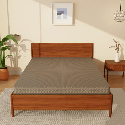 Buy SleepyHug Ortho SpineX Plus | Foam Mattress | Beige The New AirCell Series