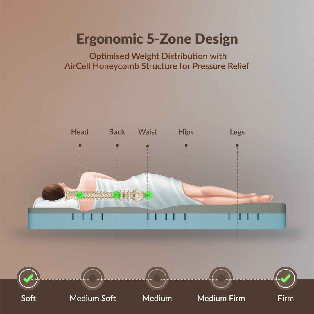 Buy SleepyHug AirCell Ortho Dual Comfort Plus | Orthopedic Mattress | Brown The New AirCell Series