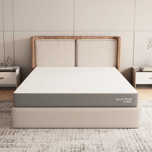 Buy SleepyHug SleepyHug Ortho SpineX Plus | Grey, 5-Years Warranty The New AirCell Series
